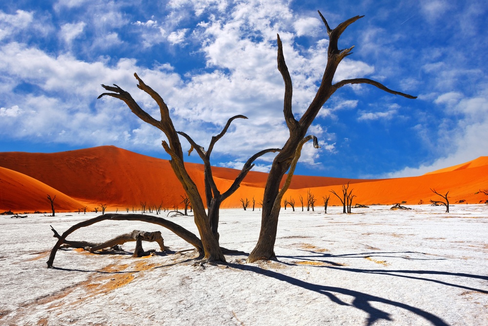 Parque Namib Naukluft (Namibia)