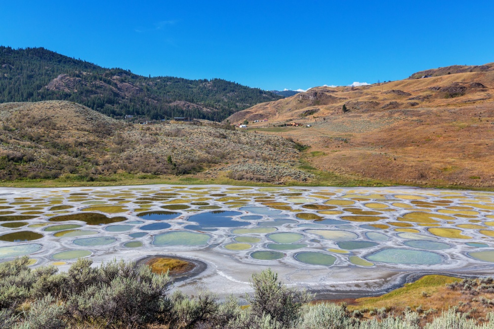 Spotted Lake (Canadá)