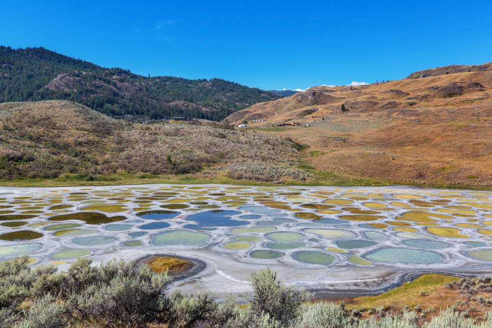 Spotted Lake (Canadá) Spotted Lake (Canadá)