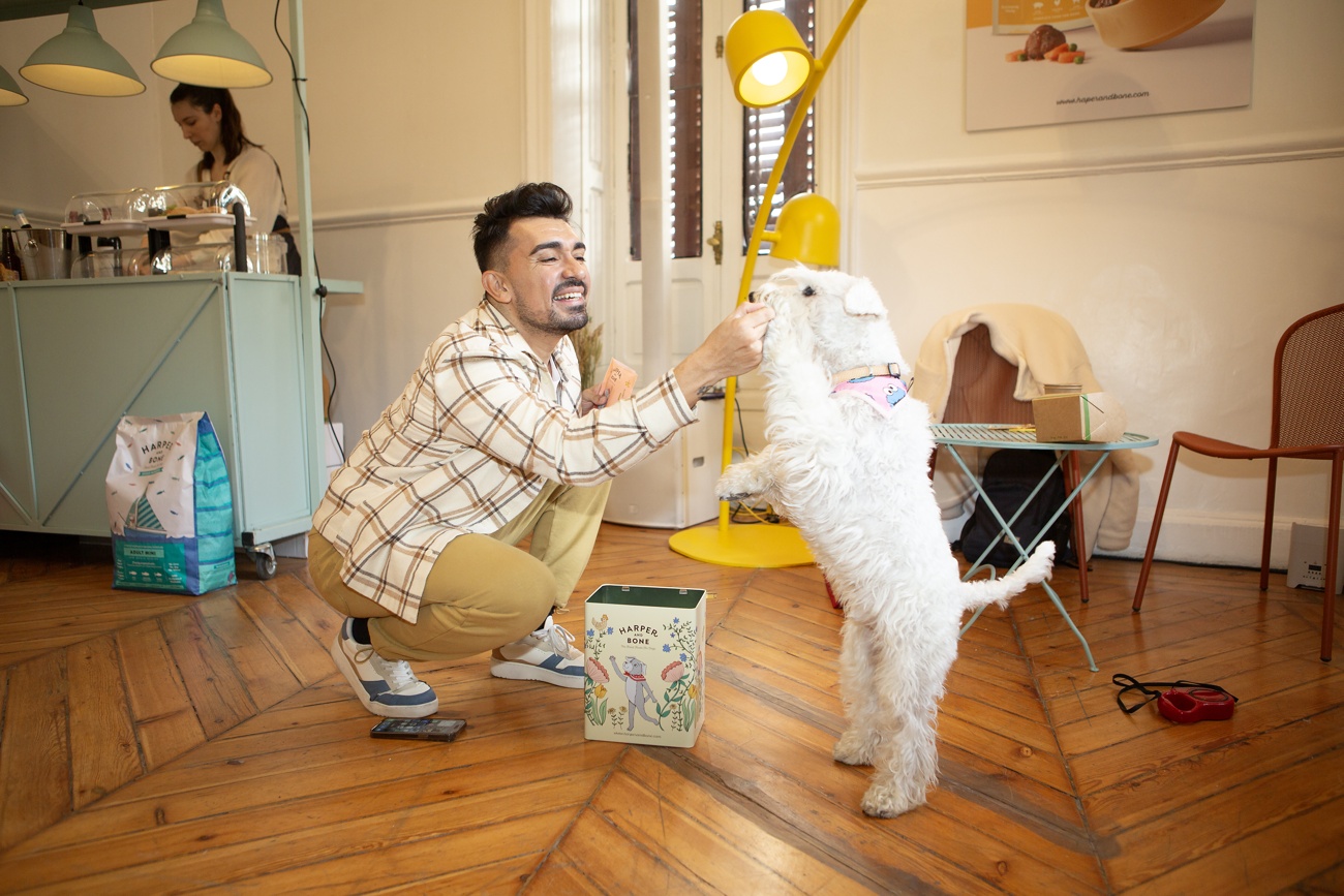 Educación en el cuidado y bienestar de las mascotas