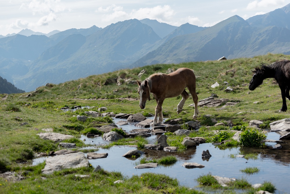 Visitar los pueblos más bonitos de Andorra Visitar los pueblos más bonitos de Andorra