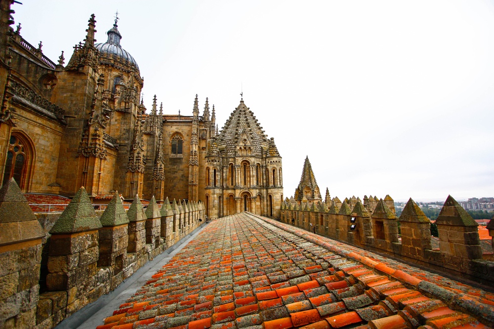 Catedral Vieja de Salamanca (España) Catedral Vieja de Salamanca (España)