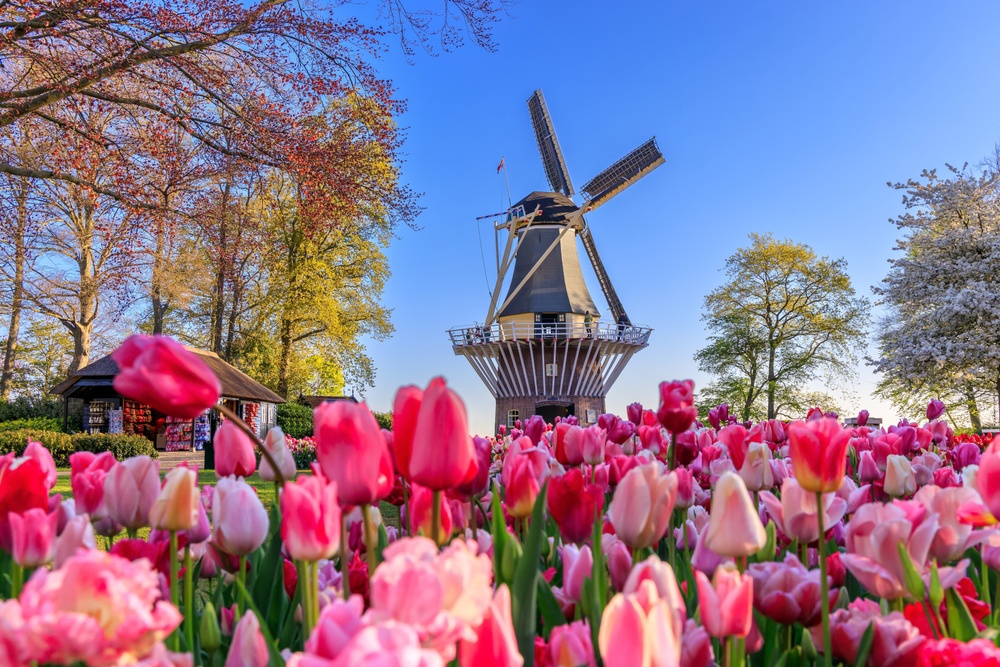 Keukenhof Keukenhof