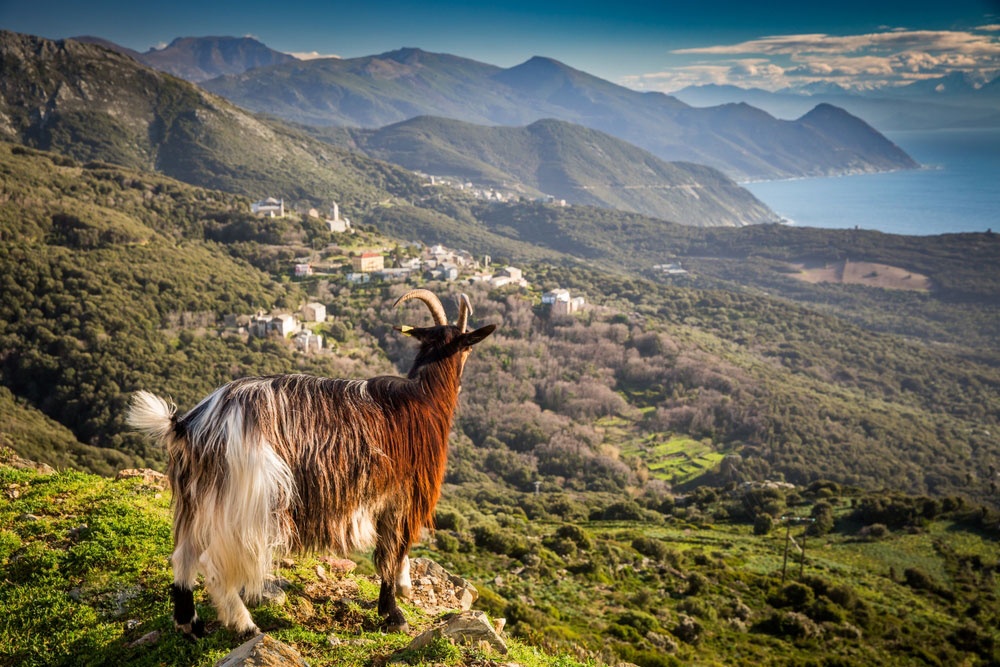 Su naturaleza salvaje y diversa