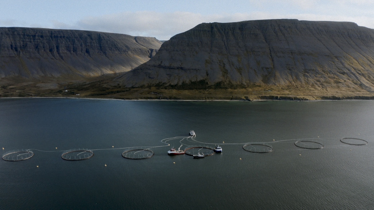 “Laxaþjóð - A Salmon Nation”, el documental de Patagonia