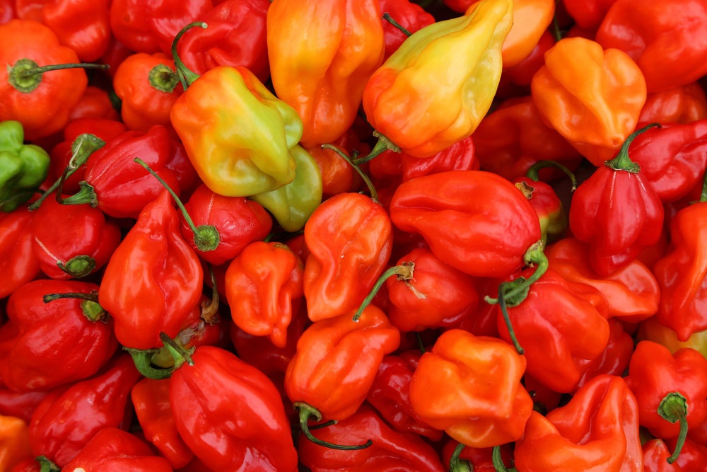 3: Habanero - 100.000 - 350.000 SHU