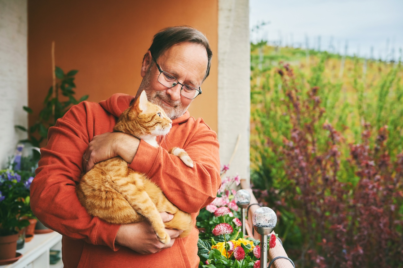 Aumenta la vida de los gatos