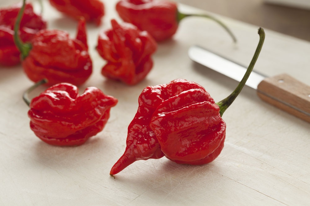 11: Trinidad Scorpion CARDI - 800.000 - 1.000.000 SHU