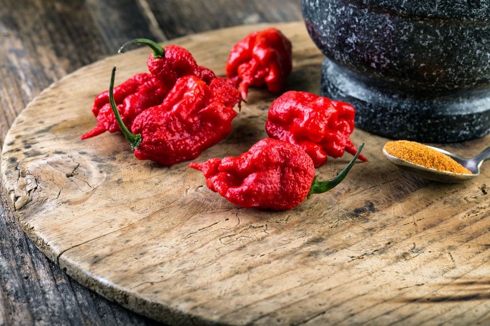 20: Carolina Reaper - 1.569.383 - 2.200.000 SHU