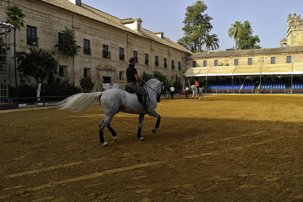 La Caballeriza Real