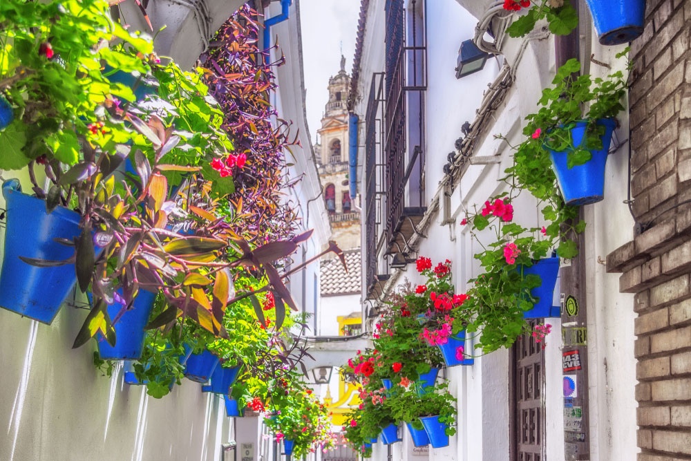 La Calleja de las Flores