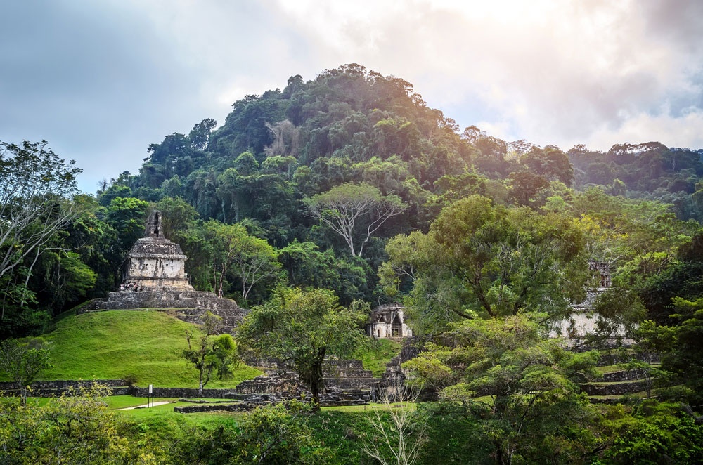 Aventuras en la selva