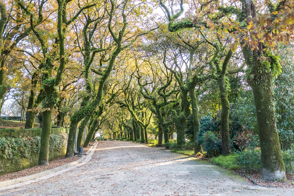 Parque de la Alameda