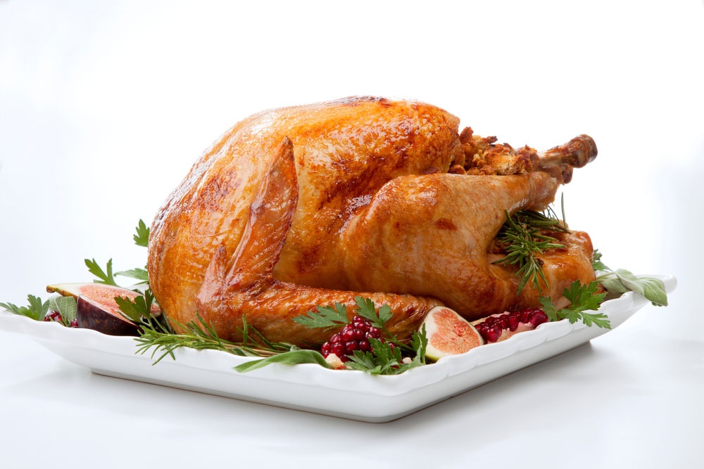 Pavo Pavo