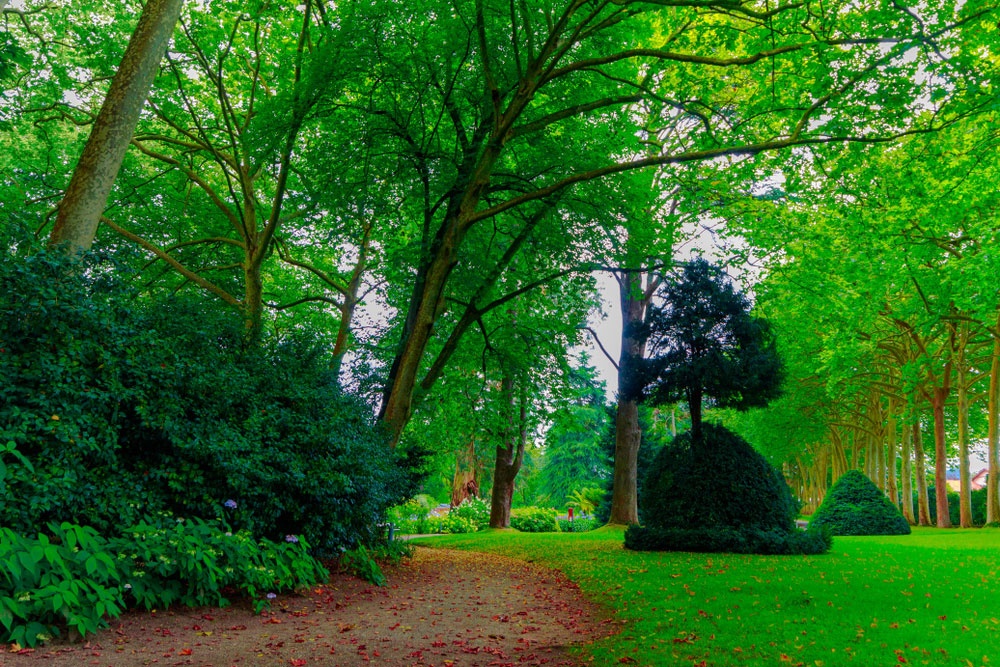 Jardín Botánico Atlántico