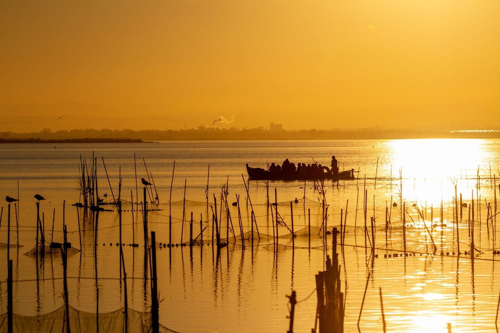 La Albufera La Albufera