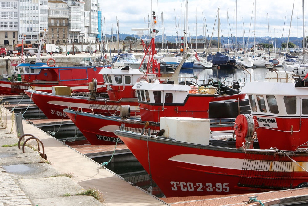 El puerto pesquero El puerto pesquero