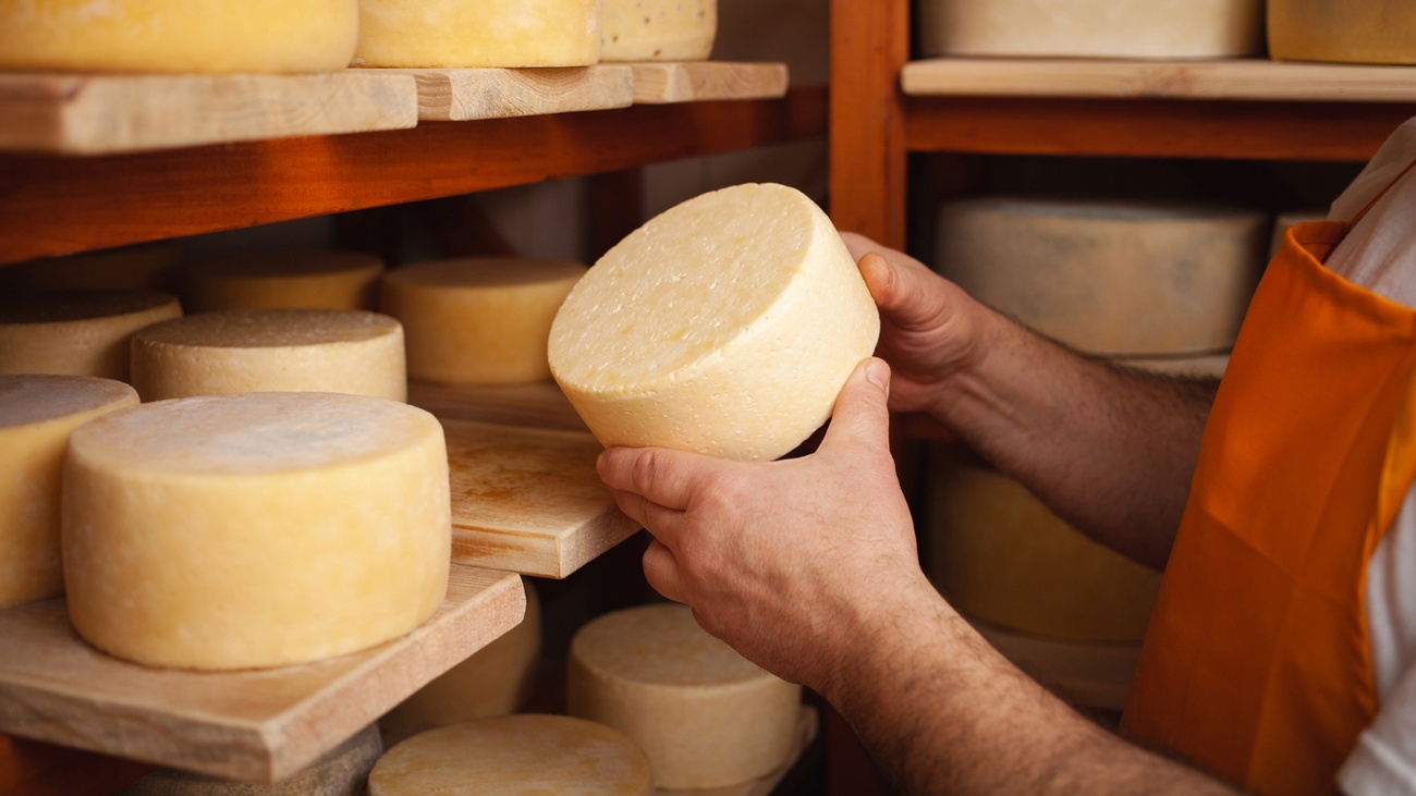 Primera fábrica de queso en el mundo