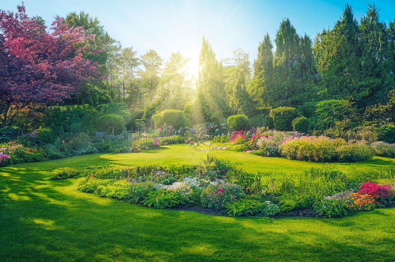 Sigue estos sencillos consejos para tener tu jardín y tu piscina siempre perfectos