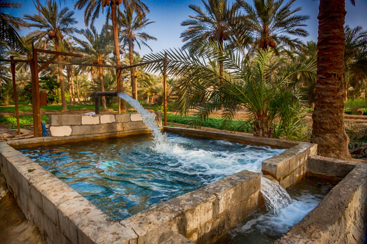 Oasis de Al-Ahsa