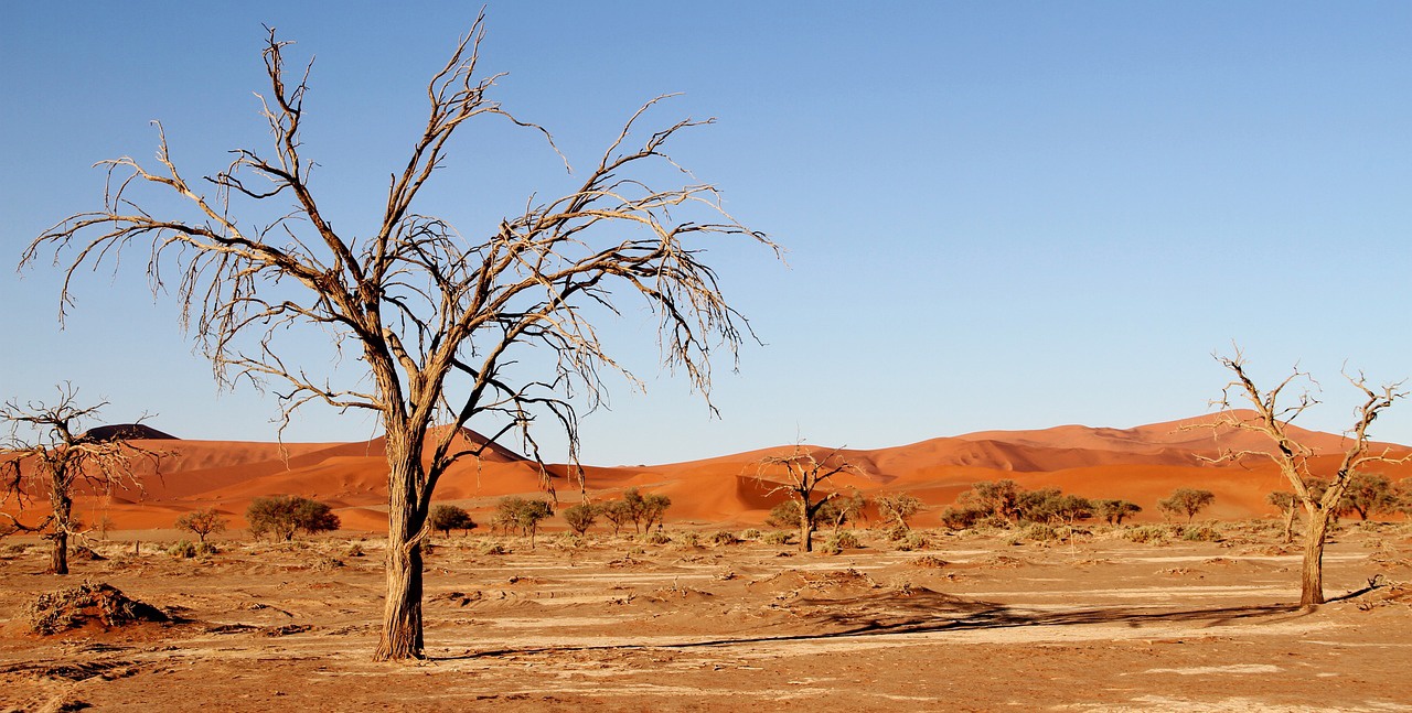 Desierto del Kalahari