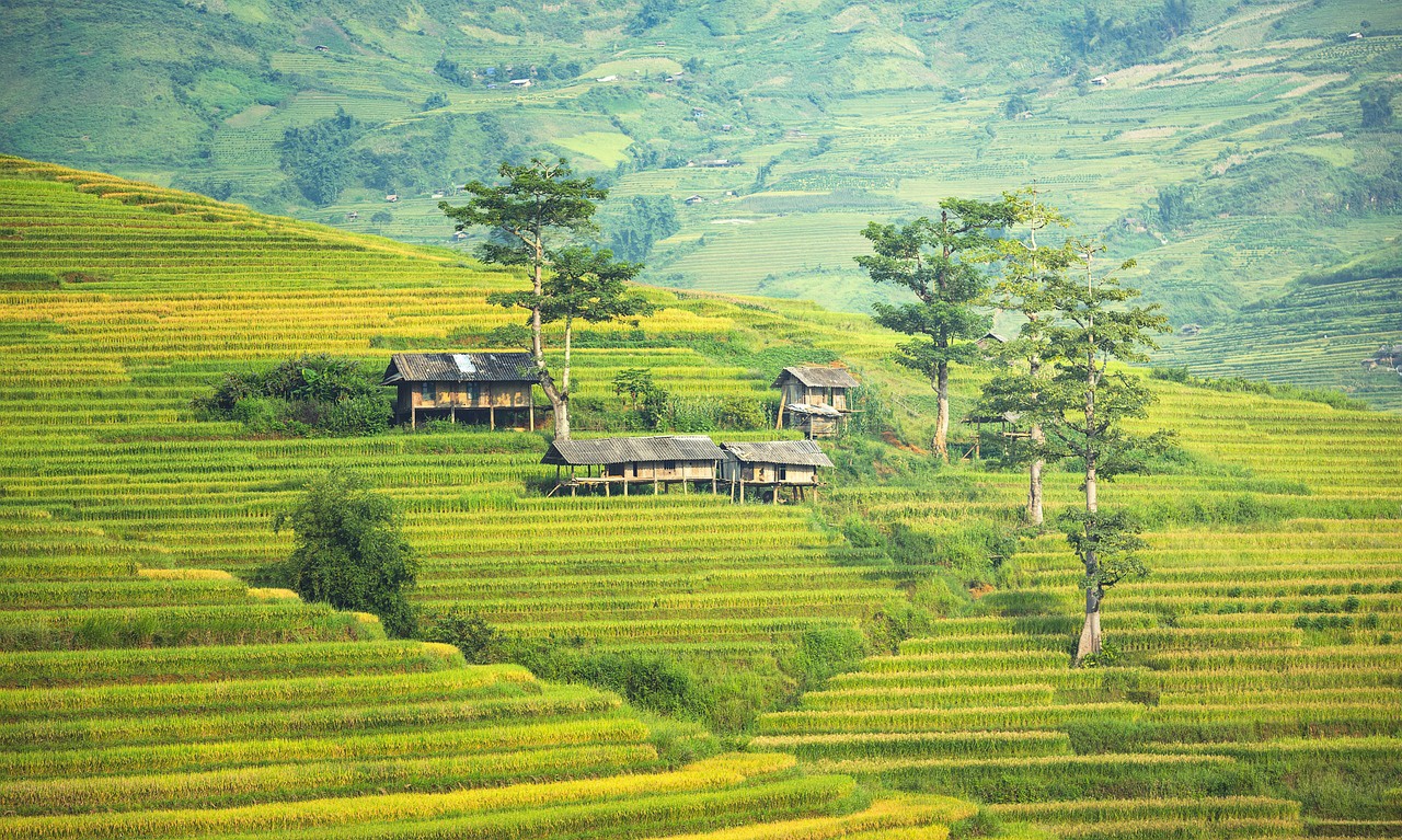 Malasia Malasia