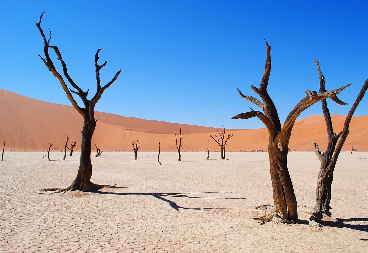 Desierto del Namib