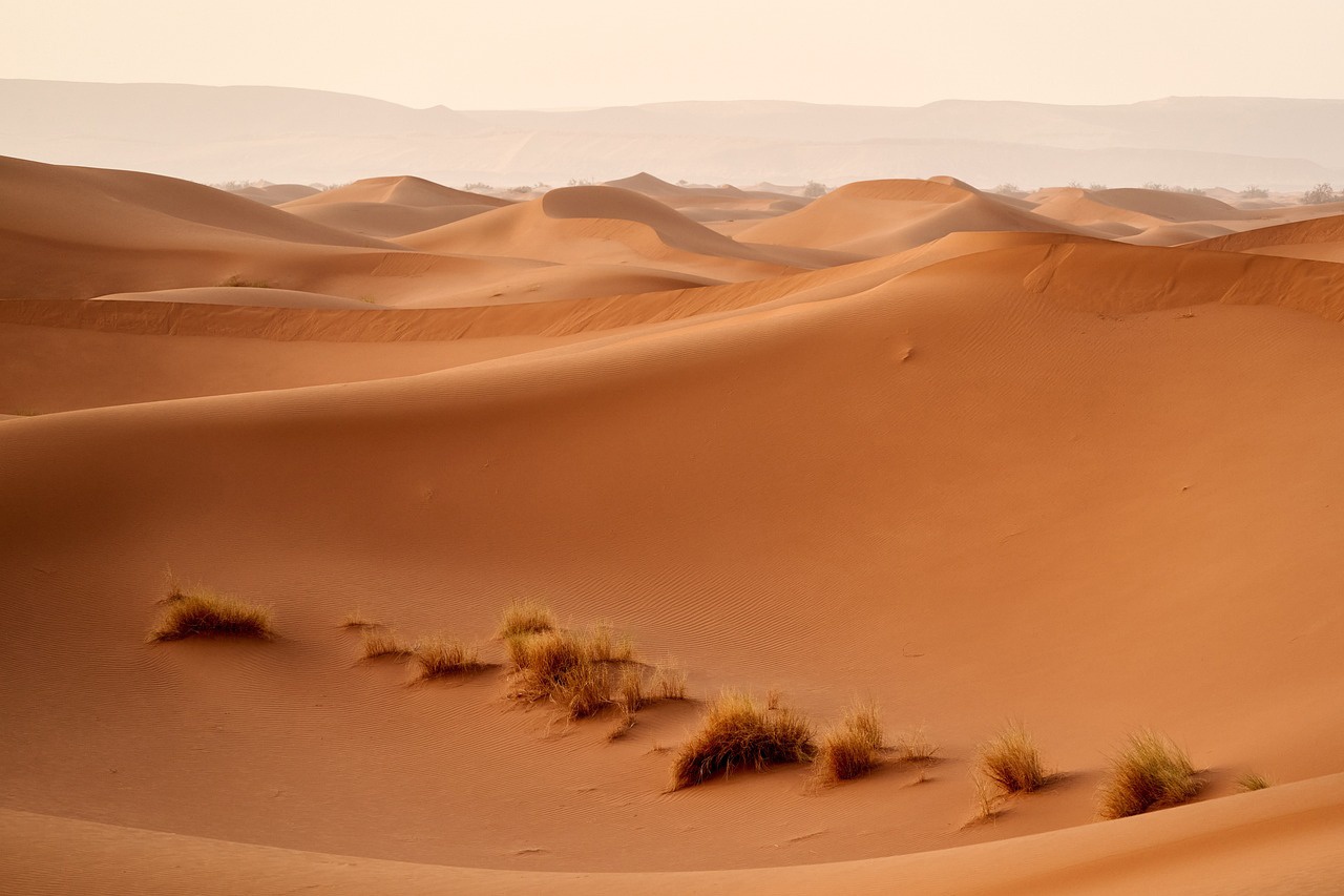 Desierto del Sahara