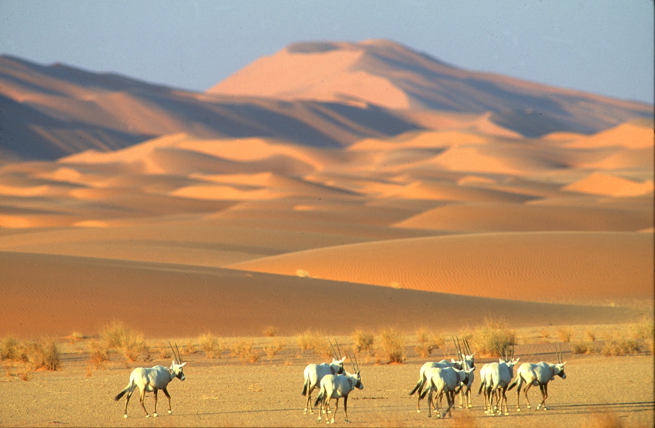 Uruq Bani Ma'arid