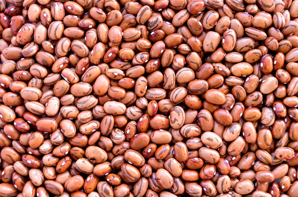 Judías Judías