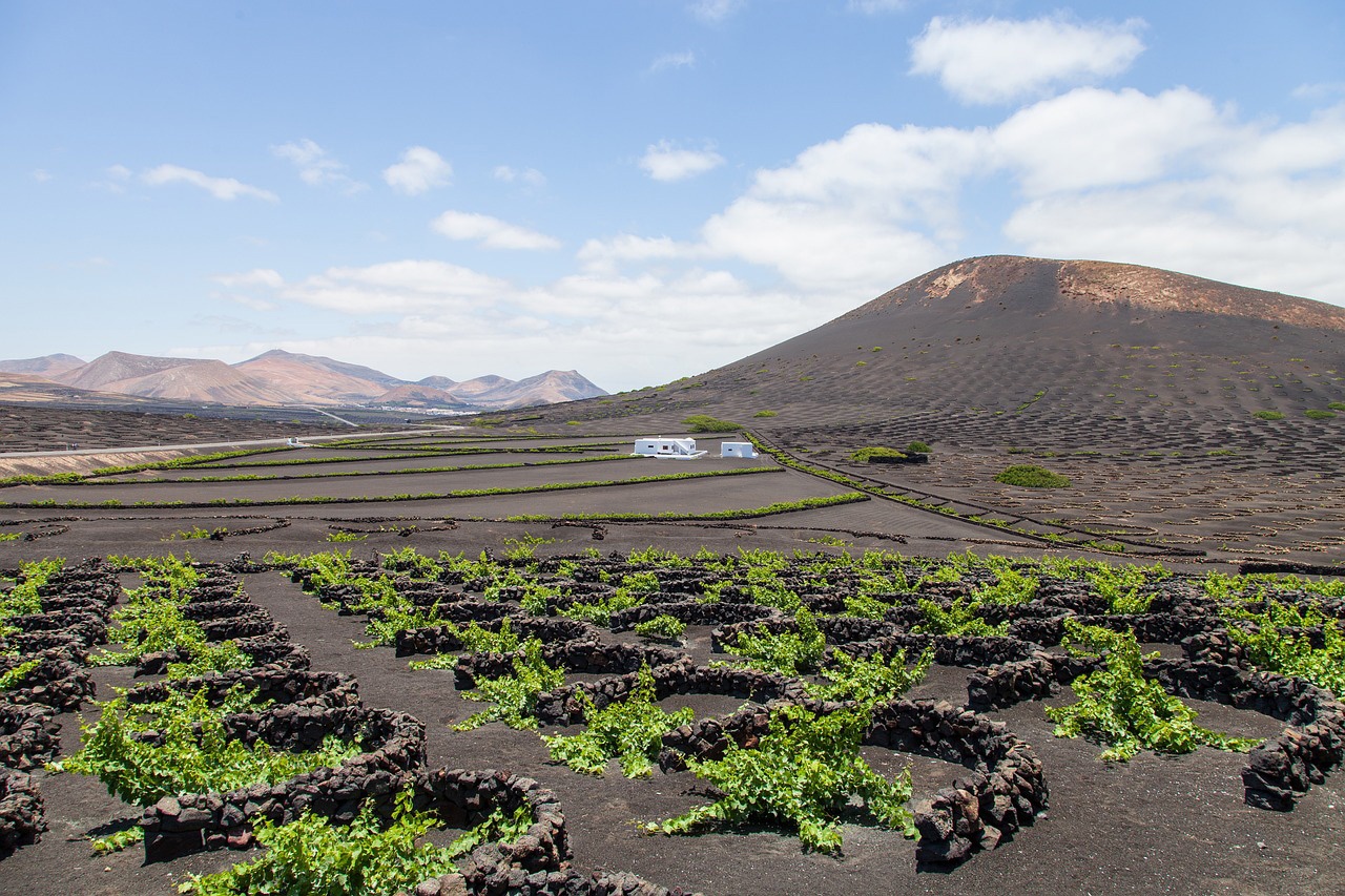 Paraíso para los amantes del vino