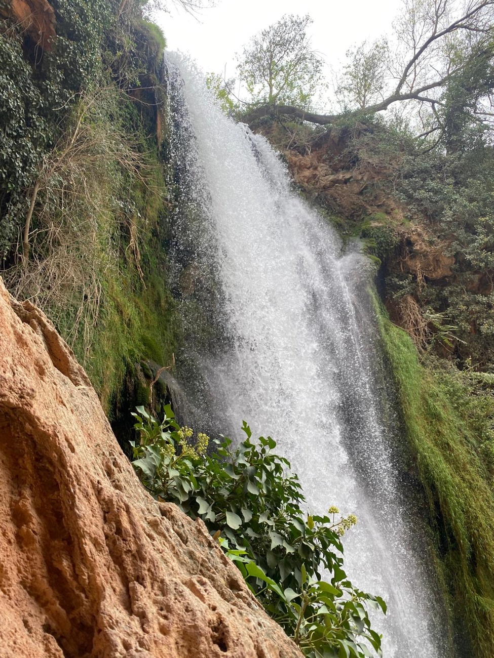 Monasterio de Piedra (Zaragoza) Monasterio de Piedra (Zaragoza)