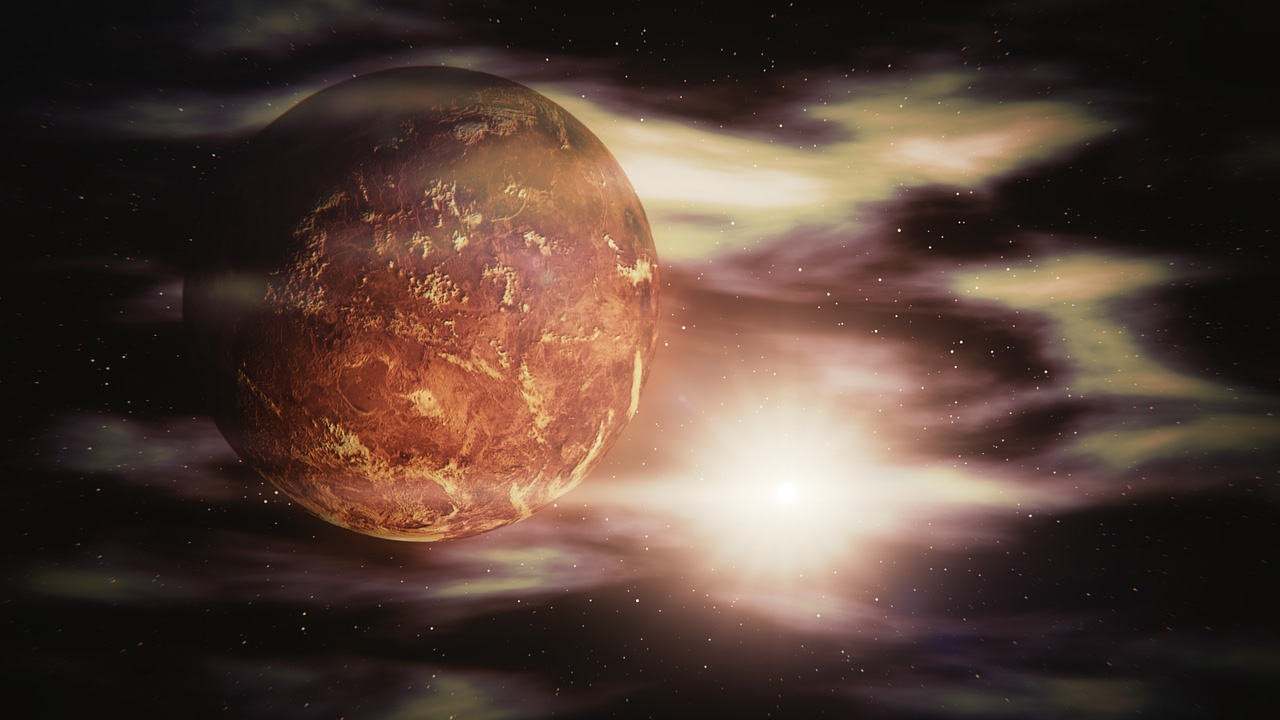Venus Venus